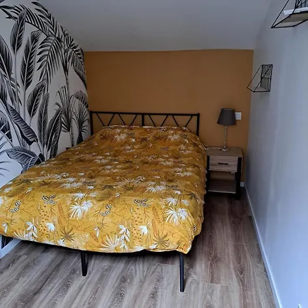 公寓 Maison Spacieuse Et Chaleureuse Au Centre *