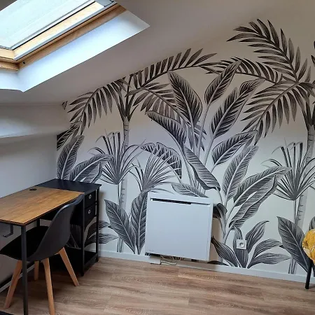Maison Spacieuse Et Chaleureuse Au Centre Апартаменты *